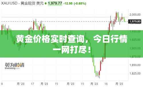 黄金价格实时查询,今日行情一网打尽!