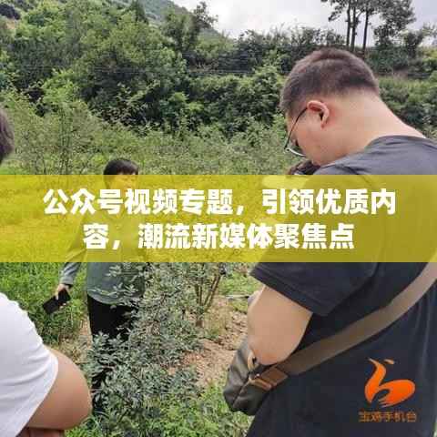 公众号视频专题,引领优质内容,潮流新媒体聚焦点