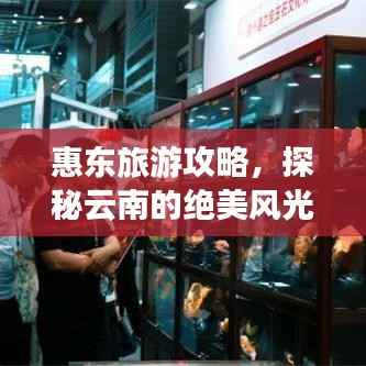 惠东旅游攻略,探秘云南的绝美风光