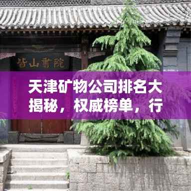 天津矿物公司排名大揭秘,权威榜单,行业巨头一网打尽!