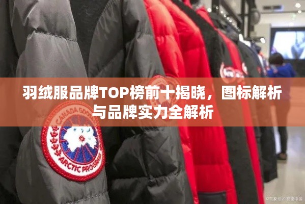 羽绒服品牌TOP榜前十揭晓,图标解析与品牌实力全解析
