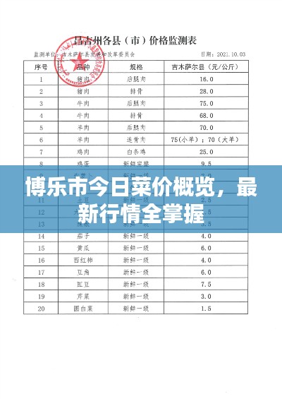 博乐市今日菜价概览,最新行情全掌握