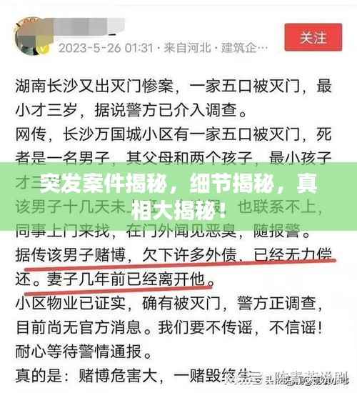 突发案件揭秘,细节揭秘,真相大揭秘!