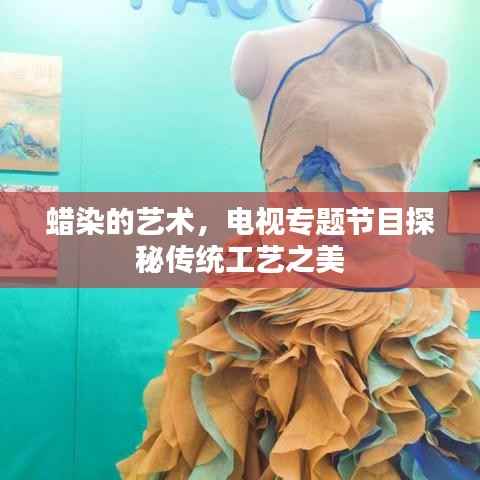 蜡染的艺术,电视专题节目探秘传统工艺之美