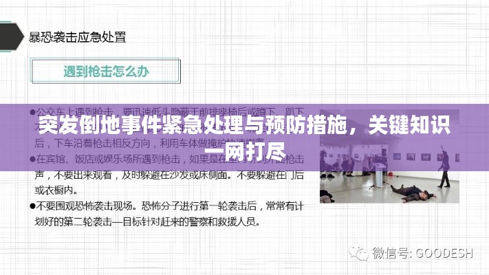 突发倒地事件紧急处理与预防措施，关键知识一网打尽