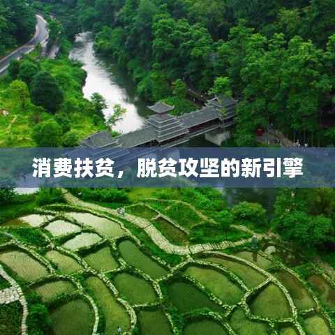消费扶贫,脱贫攻坚的新引擎