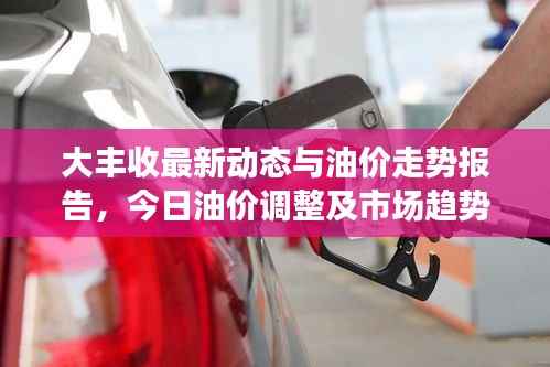 大丰收最新动态与油价走势报告,今日油价调整及市场趋势分析