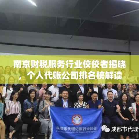 南京财税服务行业佼佼者揭晓，个人代账公司排名榜解读