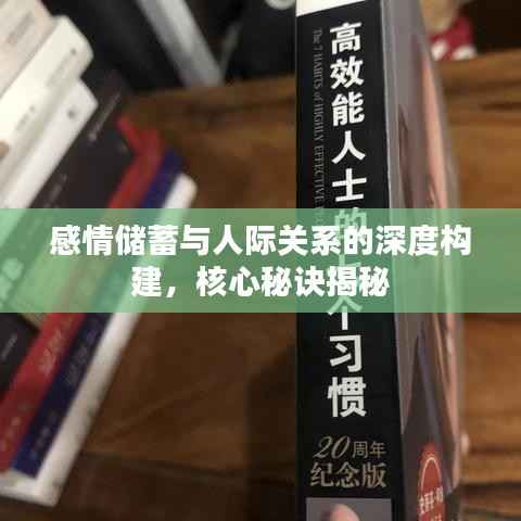感情储蓄与人际关系的深度构建,核心秘诀揭秘
