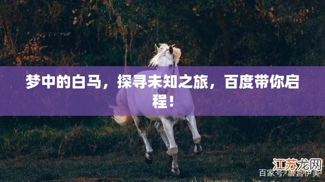 梦中的白马,探寻未知之旅,百度带你启程!