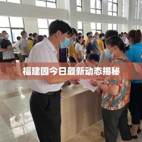 福建园今日最新动态揭秘