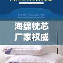 海绵枕芯厂家权威排名TOP10,品质之选一网打尽