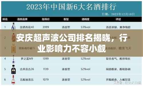 安庆超声波公司排名揭晓,行业影响力不容小觑