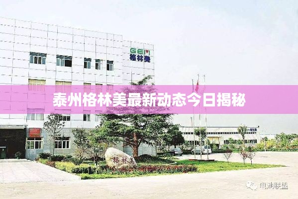 泰州格林美最新动态今日揭秘