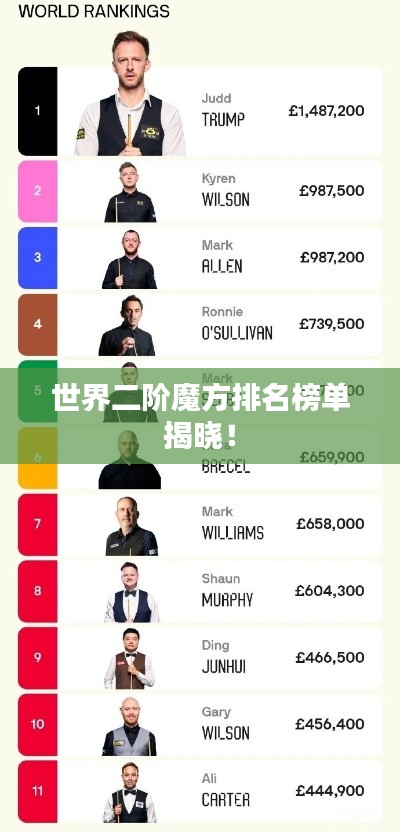 世界二阶魔方排名榜单揭晓!