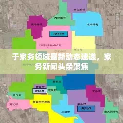 于家务领域最新动态速递,家务新闻头条聚焦