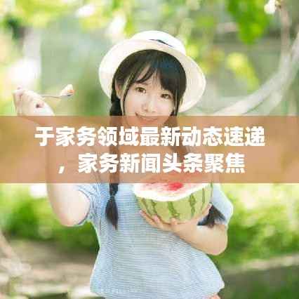 于家务领域最新动态速递,家务新闻头条聚焦