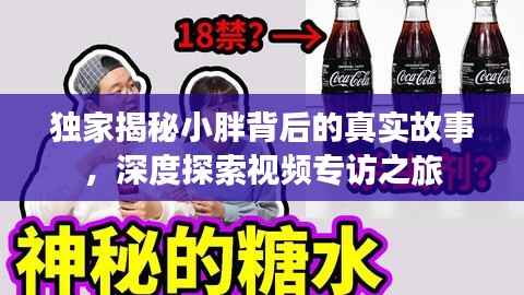 独家揭秘小胖背后的真实故事，深度探索视频专访之旅