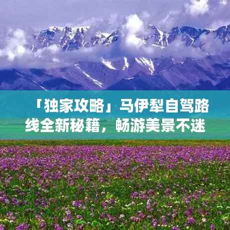 「独家攻略」马伊犁自驾路线全新秘籍,畅游美景不迷路!