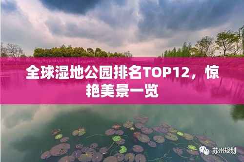 全球湿地公园排名TOP12，惊艳美景一览