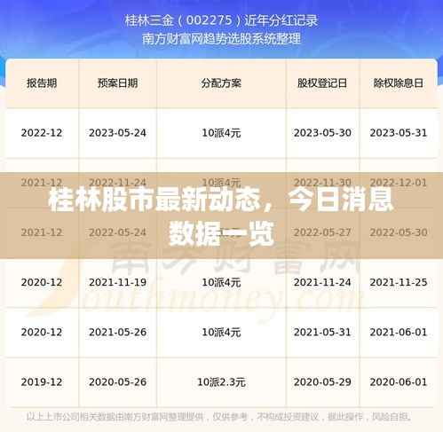 桂林股市最新动态,今日消息数据一览