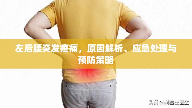 左后腰突发疼痛,原因解析、应急处理与预防策略