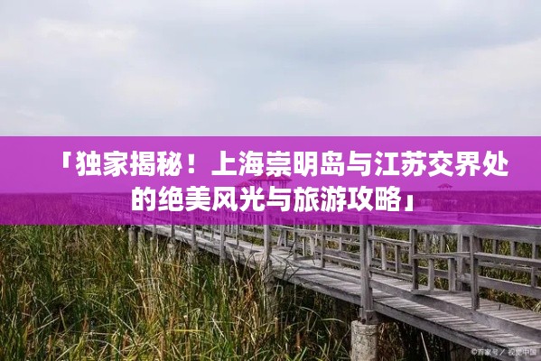 精品展示 第83页