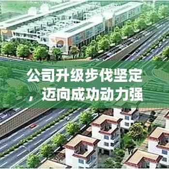 公司升级步伐坚定,迈向成功动力强劲!