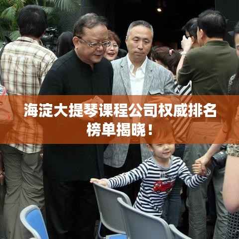 海淀大提琴课程公司权威排名榜单揭晓!