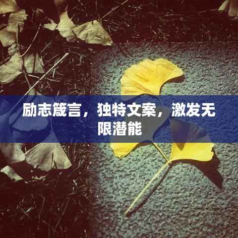 励志箴言,独特文案,激发无限潜能