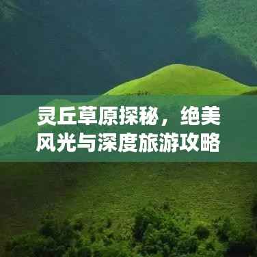 精品展示 第72页