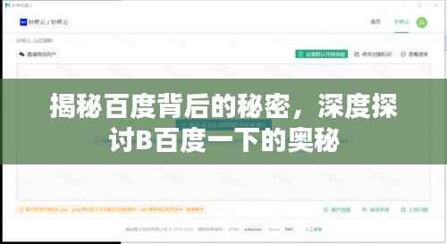 揭秘百度背后的秘密，深度探讨B百度一下的奥秘