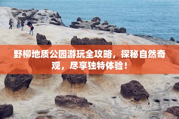 精品展示 第70页