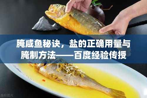 腌咸鱼秘诀,盐的正确用量与腌制方法——百度经验传授