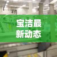 宝洁最新动态更新，今日新消息抢鲜看！
