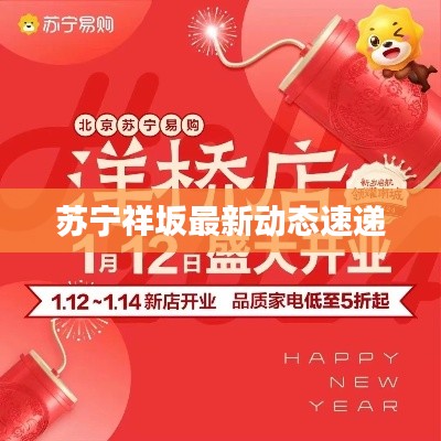 苏宁祥坂最新动态速递
