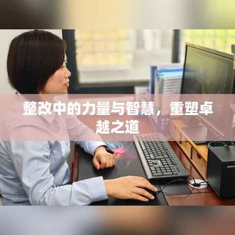 整改中的力量与智慧，重塑卓越之道
