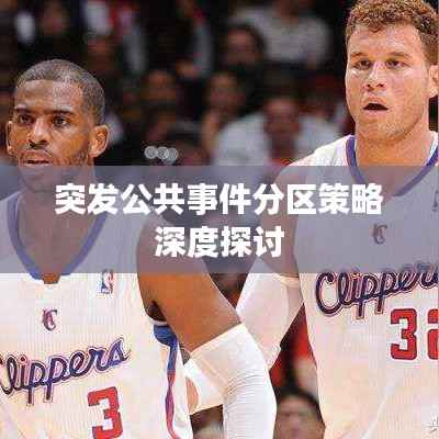 突发公共事件分区策略深度探讨