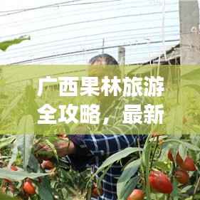 广西果林旅游全攻略，最新探索指南与美图欣赏